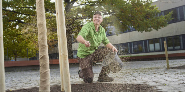 Gärtner säjrt Grassamen aus © Westend61 / Christian Vorhofer