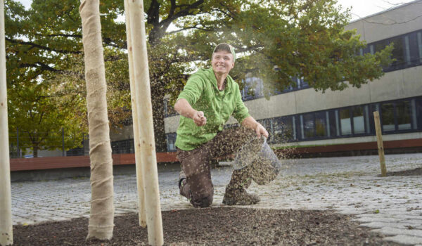 Gärtner säjrt Grassamen aus © Westend61 / Christian Vorhofer