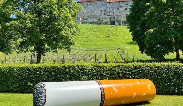 Riesenkipp am Wöhrsee unter der Burg © Alexandra Königseder