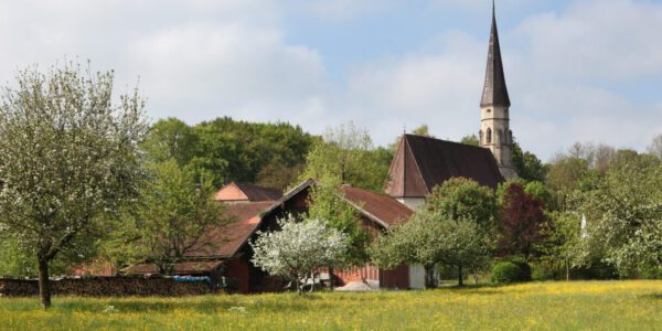 Streuobstwiese mit Heilig Geist Kirche im Hintergrund © Burghauser Touristik GmbH