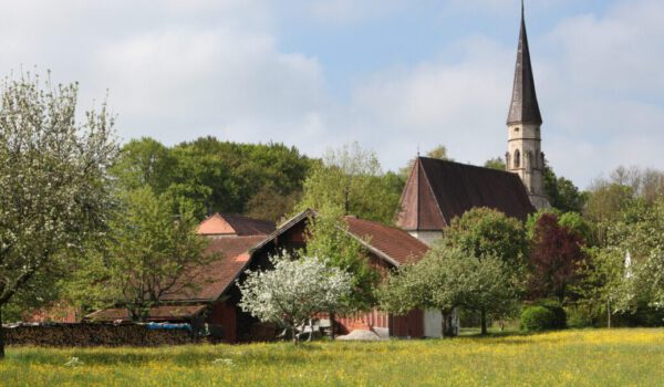 Streuobstwiese mit Heilig Geist Kirche im Hintergrund © Burghauser Touristik GmbH