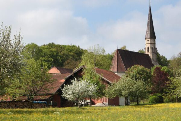 Streuobstwiese mit Heilig Geist Kirche im Hintergrund © Burghauser Touristik GmbH Streuobstwiese mit Heilig Geist Kirche im Hintergrund © Burghauser Touristik GmbH