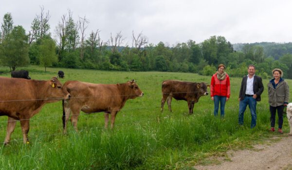 Bürgermeister Florian Schneider bei den Rindern in Raitenhaslach © Alexandra Königseder