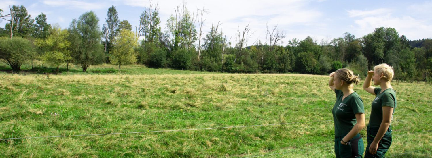 Die FÖJlerinnen auf der Suche nach den Wasserbüffeln © Alexandra Königseder