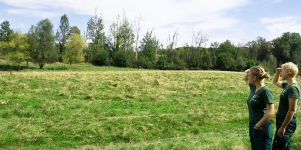 Die FÖJlerinnen auf der Suche nach den Wasserbüffeln © Alexandra Königseder