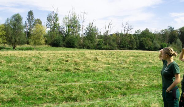 Die FÖJlerinnen auf der Suche nach den Wasserbüffeln © Alexandra Königseder