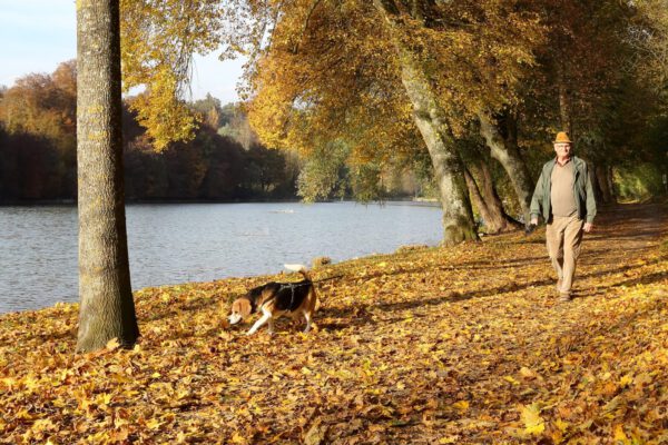 Mann mit Hund am Wöhrsee © Gerhard Nixdorf Mann mit Hund am Wöhrsee © Gerhard Nixdorf