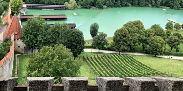 Weinfeld am Burghang von oben © Stadt Burghausen