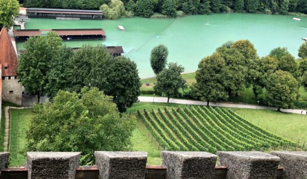 Weinfeld am Burghang von oben © Stadt Burghausen