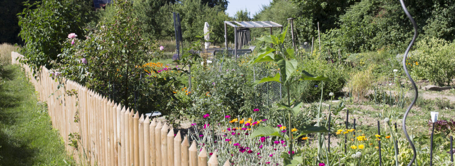 Interkultureller Garten © Hannah Soldner