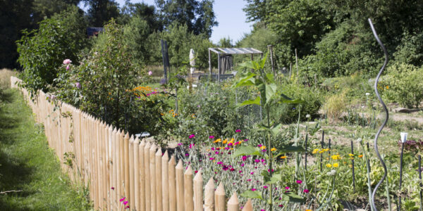 Interkultureller Garten © Hannah Soldner