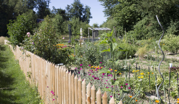 Interkultureller Garten © Hannah Soldner