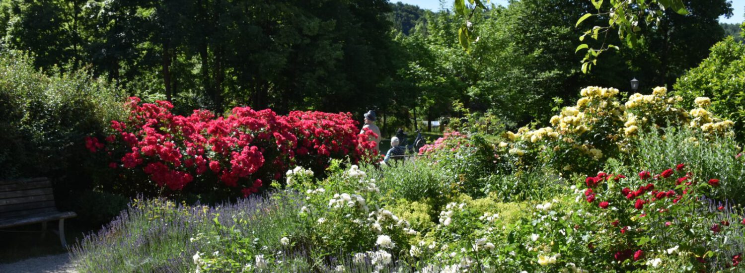 Park in Burghausen © Stadt Burghausen