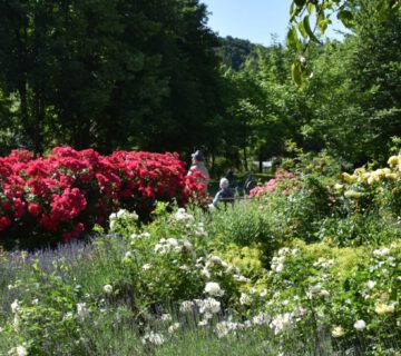 Park in Burghausen © Stadt Burghausen