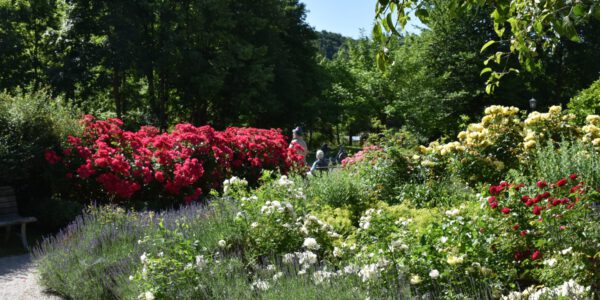 Park in Burghausen © Stadt Burghausen