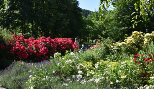 Park in Burghausen © Stadt Burghausen Park in Burghausen © Stadt Burghausen