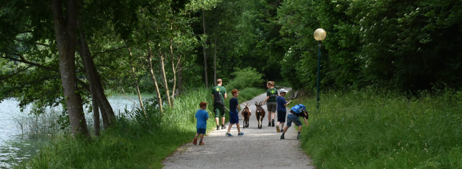 FÖJlerin und FÖJler mit Ziegen und Kindern © Stadt Burghausen