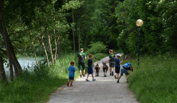 FÖJlerin und FÖJler mit Ziegen und Kindern © Stadt Burghausen FÖJlerin und FÖJler mit Ziegen und Kindern © Stadt Burghausen