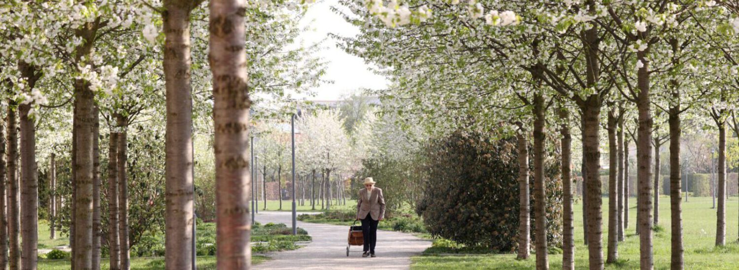 Blühende Bäume im Stadtpark © Gerhard Nixdorf