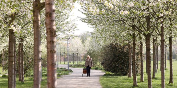 Blühende Bäume im Stadtpark © Gerhard Nixdorf