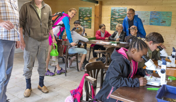 Kinder und Erwachsene am Seenlabor © Stadt Bughausen