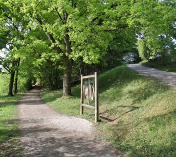 Station am Wöhrsee-Lehrpfad © Burghauser Touristik GmbH