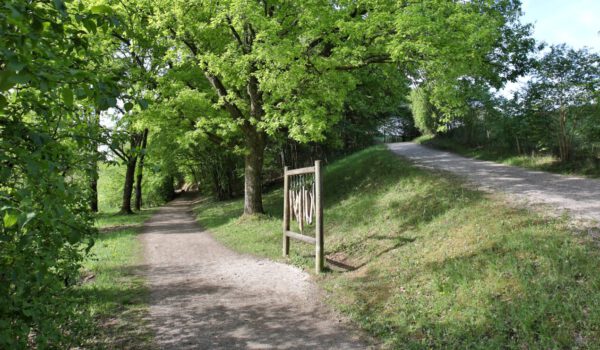 Station am Wöhrsee-Lehrpfad © Burghauser Touristik GmbH Station am Wöhrsee-Lehrpfad © Burghauser Touristik GmbH