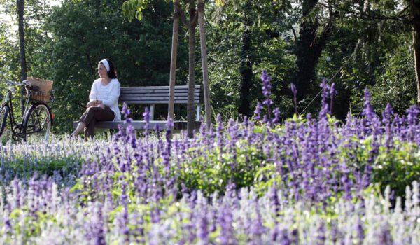 Lavendelbeet im Botanischen Garten © Burghauser Touristik GmbH
