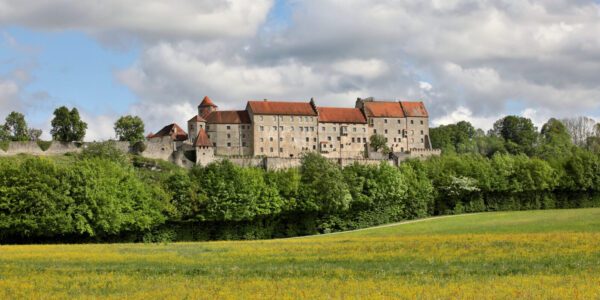 Wiese und Burg © Gerhard Nixdorf