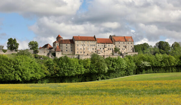 Wiese und Burg © Gerhard Nixdorf Wiese und Burg © Gerhard Nixdorf