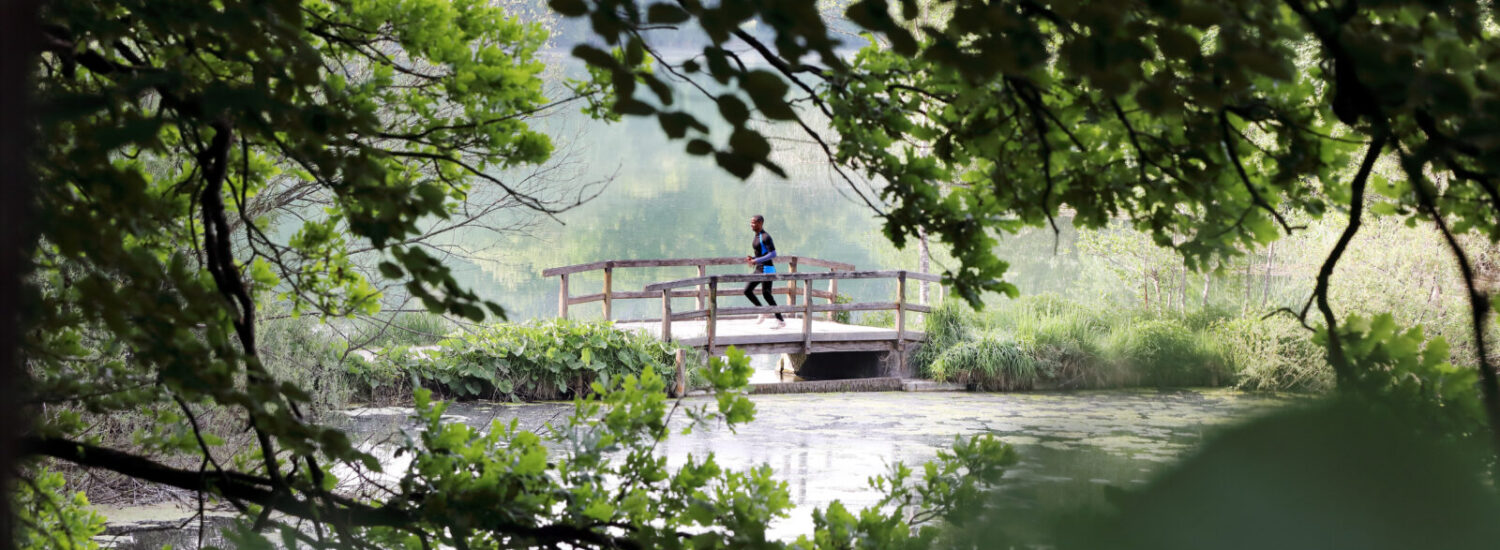 Jogger am Wöhrsee © Gerhard Nixdorf