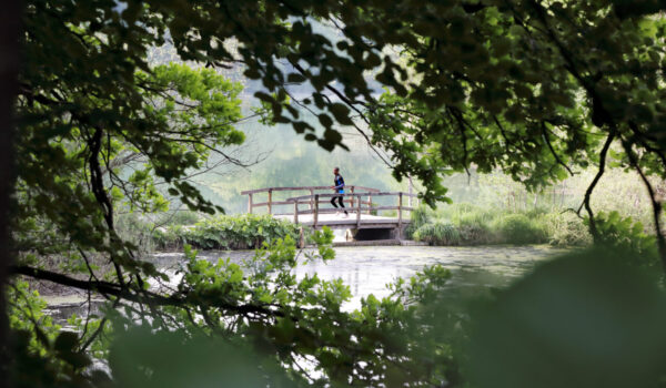 Jogger am Wöhrsee © Gerhard Nixdorf Jogger am Wöhrsee © Gerhard Nixdorf