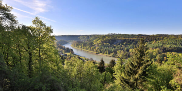 Blick über die Salzach und Wald © Gerhard Nixdorf