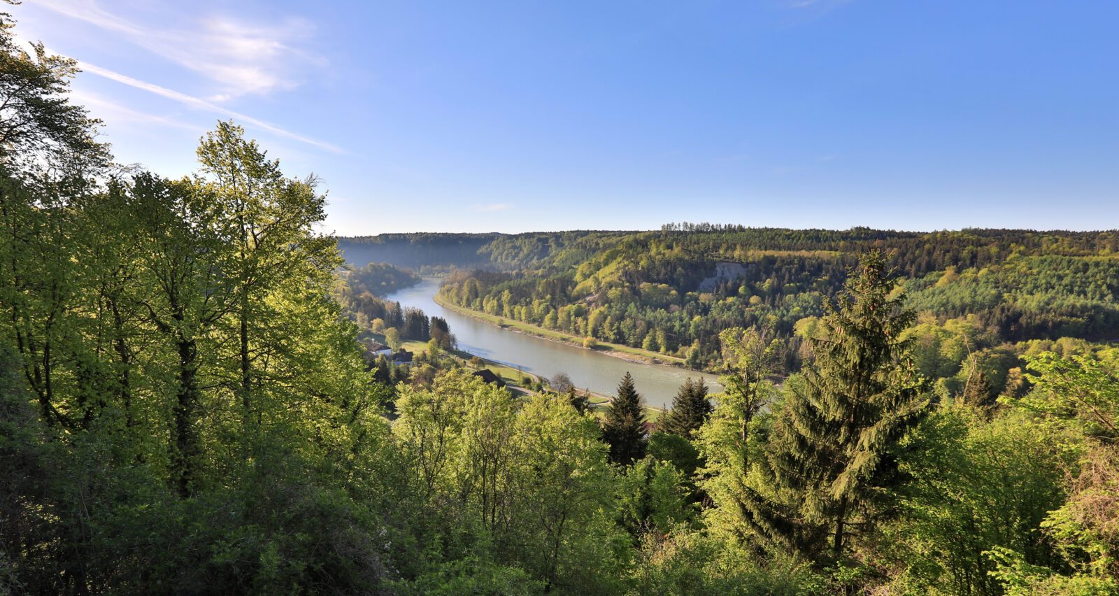 Blick über die Salzach und Wald © Gerhard Nixdorf