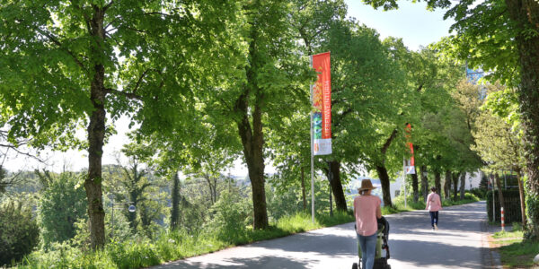 Straße mit Bäumen in Burghausen © Gerhard Nixdorf