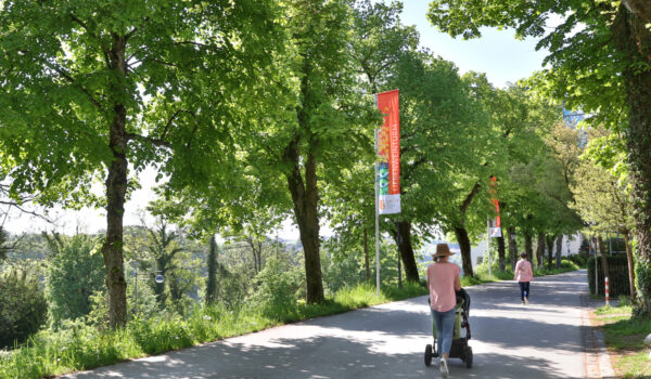Bäume auf Weg zur Burg © Gerhard Nixdorf Bäume auf Weg zur Burg © Gerhard Nixdorf