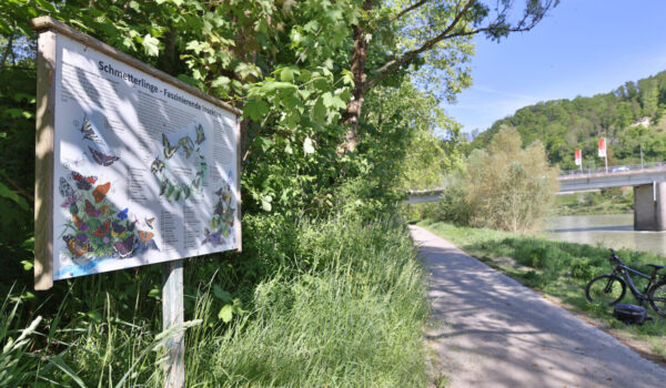 Infostafel an der Salzach © Gerhard Nixdorf Infostafel an der Salzach © Gerhard Nixdorf