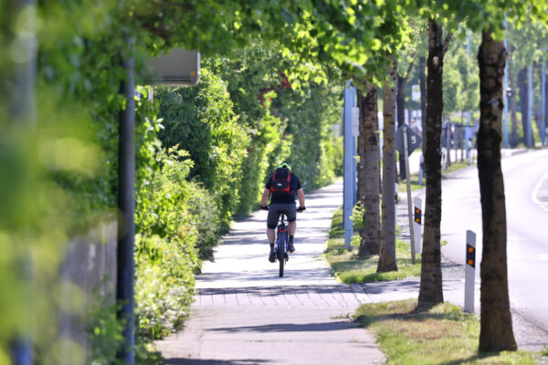 Radfahrer auf Radweg © Gerhard Nixdorf
