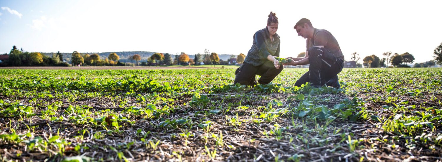 Farmerin und Farmer begutachten Feld © Annette Birkenfeld