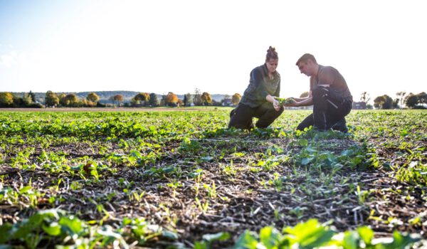 Farmerin und Farmer begutachten Feld © Annette Birkenfeld