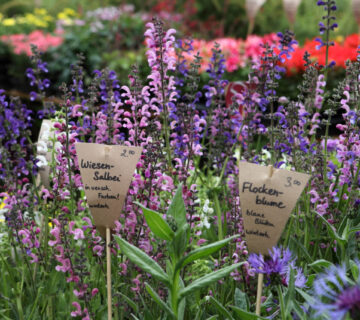 Symbolbild Märkte in Burghausen © Burghauser Touristik GmbH