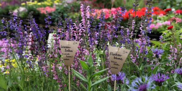 Symbolbild Märkte in Burghausen © Burghauser Touristik GmbH