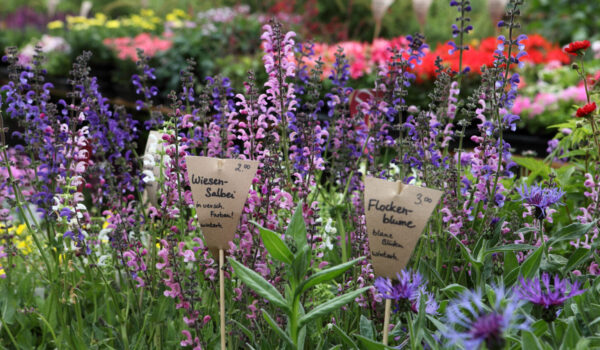 Symbolbild Märkte in Burghausen © Burghauser Touristik GmbH Symbolbild Märkte in Burghausen © Burghauser Touristik GmbH