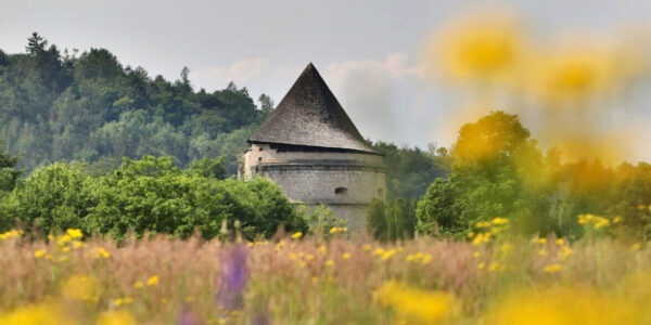 Blumenwiese mit Pulverturm im Hintergrund © Burghauser Touristik GmbH