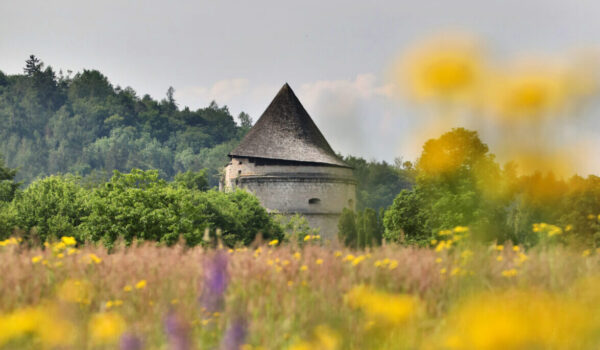 Blumenwiese mit Pulverturm im Hintergrund © Burghauser Touristik GmbH Blumenwiese mit Pulverturm im Hintergrund © Burghauser Touristik GmbH