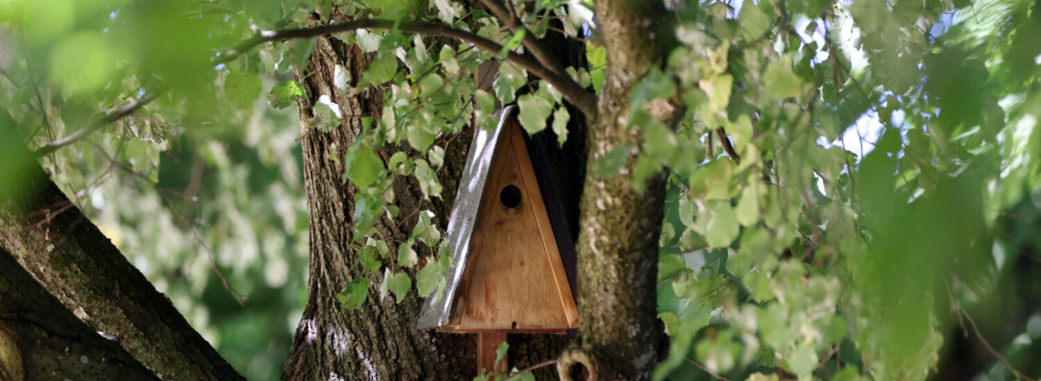 Brutkasten an Baum © Gerhard Nixdorf