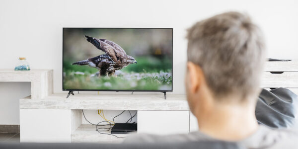 Mann von hinten beim Fernsehen © Westend61 / Josep Rovirosa