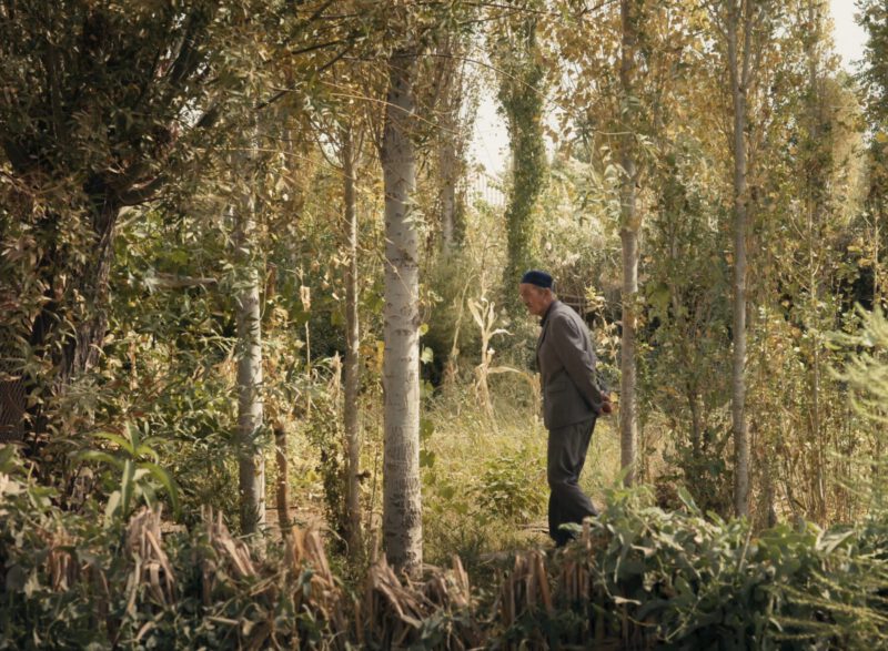 Aralkum Still2 800x587