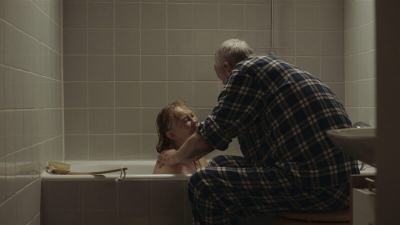 Eigenheim Stil1 800x450