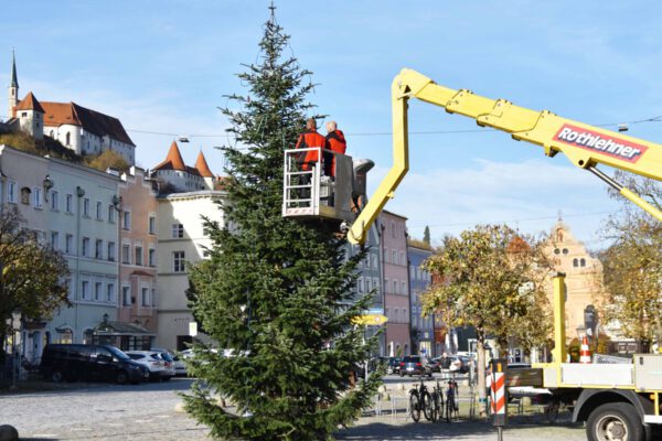 Zwei Elektriker der Stadt Burghausen bringen die Lichterkette am Christbaum am Stadtplatz an Zwei Elektriker der Stadt Burghausen bringen die Lichterkette am Christbaum am Stadtplatz an